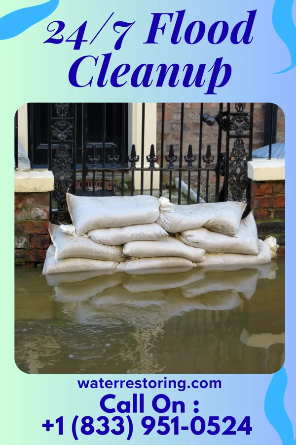 24/7 Flood Cleanup in Viera East, FL