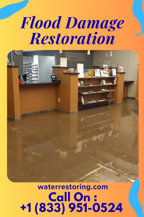 Flood Damage Restoration in Viera East, FL