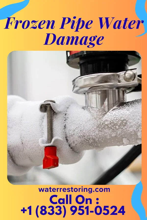 Frozen Pipe Water Damage in Viera East, FL