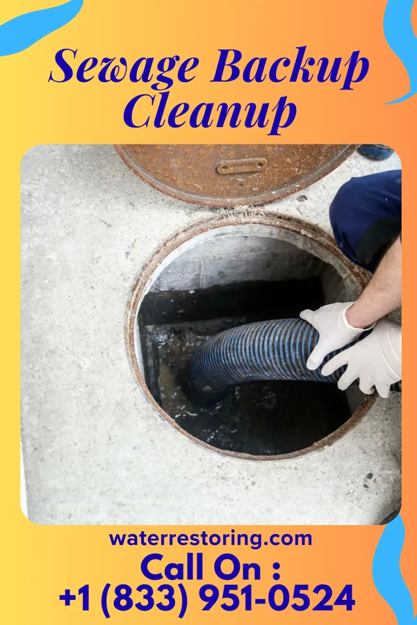 Sewage Backup Cleanup in Viera East, FL
