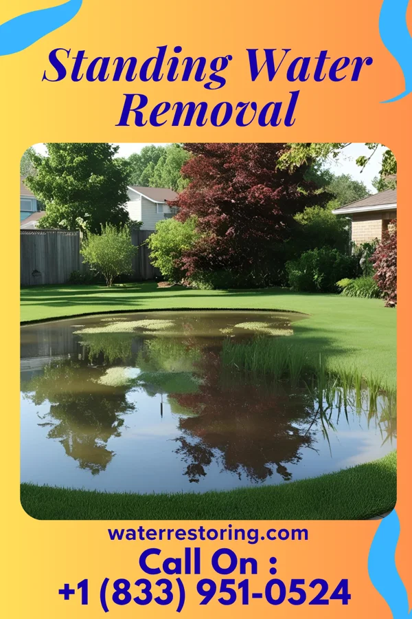 Standing Water Removal in Viera East, FL